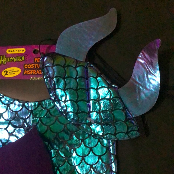 Halloween Pet Costume 🎃👻 - Picture 2 of 3